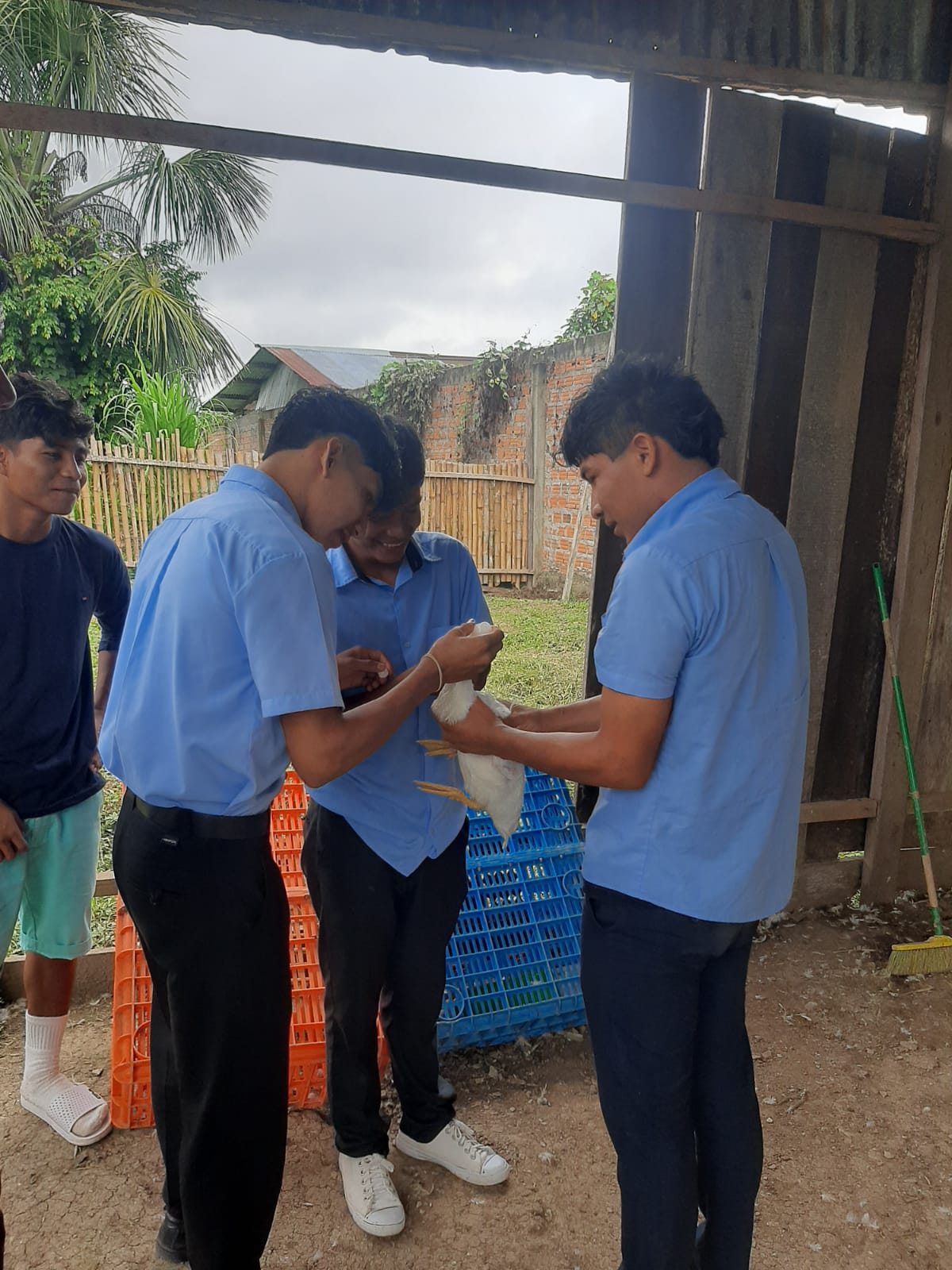 Programa de Estudio Producción Agropecuaria