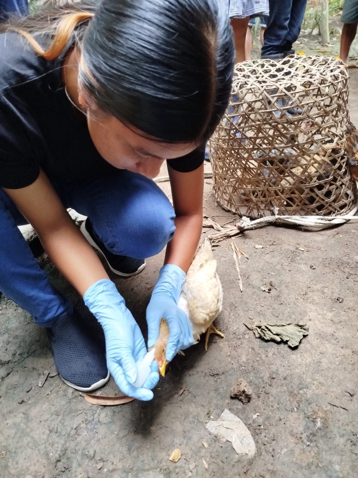 Programa de Estudio Producción Agropecuaria